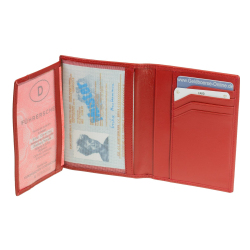 Esquire New Silk Ausweisetui Brieftasche Kartenetui Rot Leder Ausweishülle