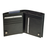 Portemonnaie mit Card-Safe, Geheimfach viele Kartenfächer Esquire Silk Geldbörse