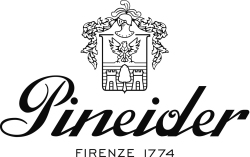 Feder Fein Füllfederhalter Pineider Coal Grey