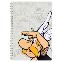 Asterix Spiralbuch DIN A4 Clairefontaine 50 Blatt liniert verschiedene Motive