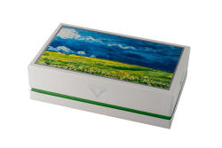 Kugelschreiber Visconti van Gogh Wheatfield...